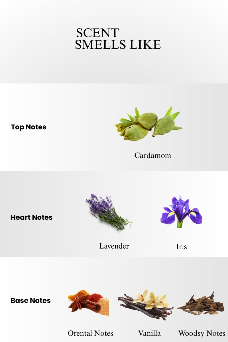 JPG Le Male LEPARFUM