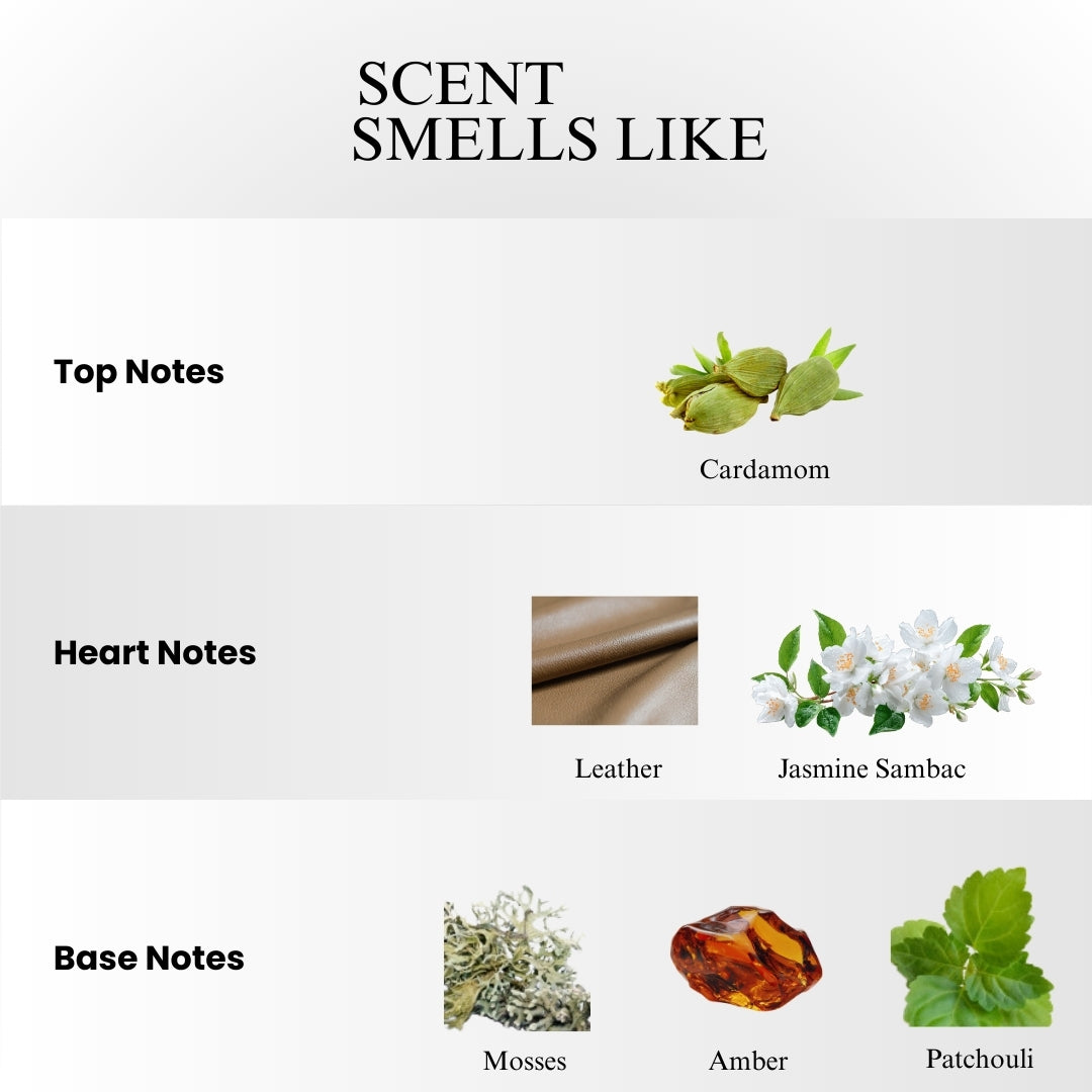 Ombre Leather TomFord