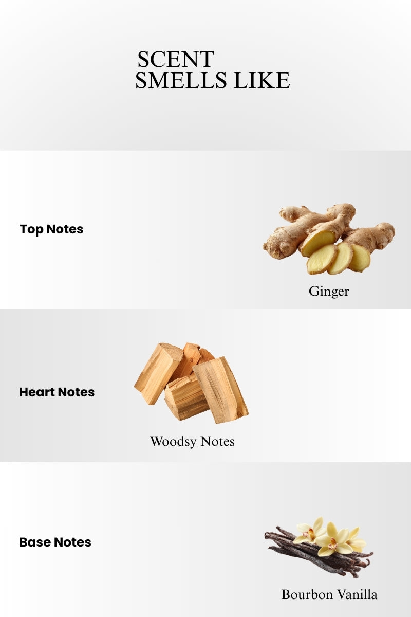 Azzaro Most Wanted P