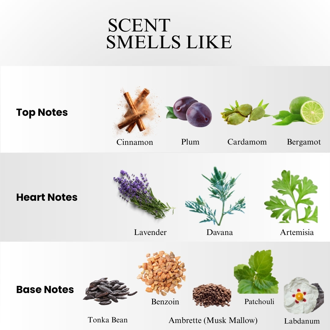 JPG Le Male Elixir Absolu